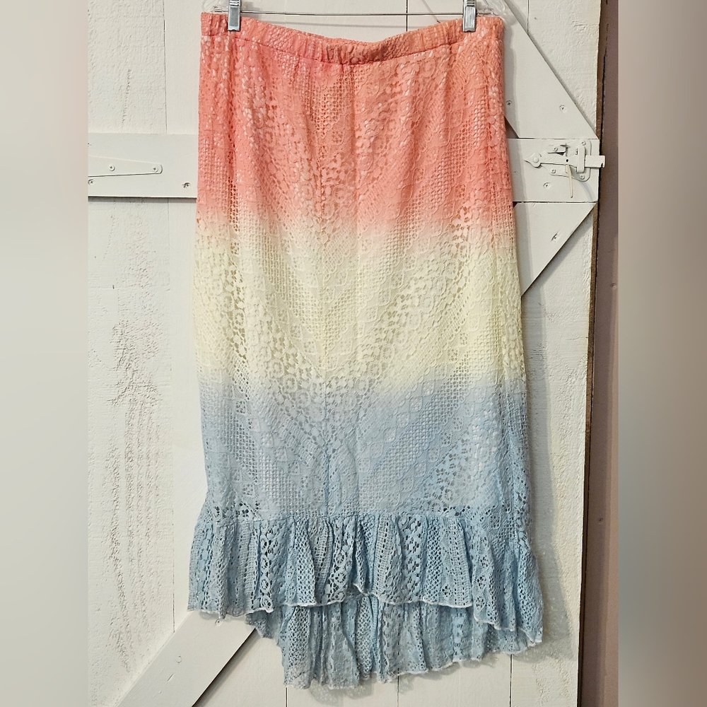 Ombre Lace Lined Skirt